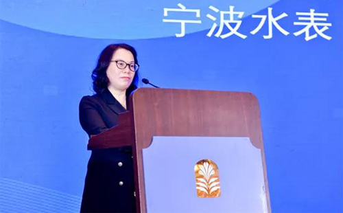 中國儀器儀表行業(yè)協(xié)會副理事長、寧波水表(集團)股份有限公司董事長 張琳